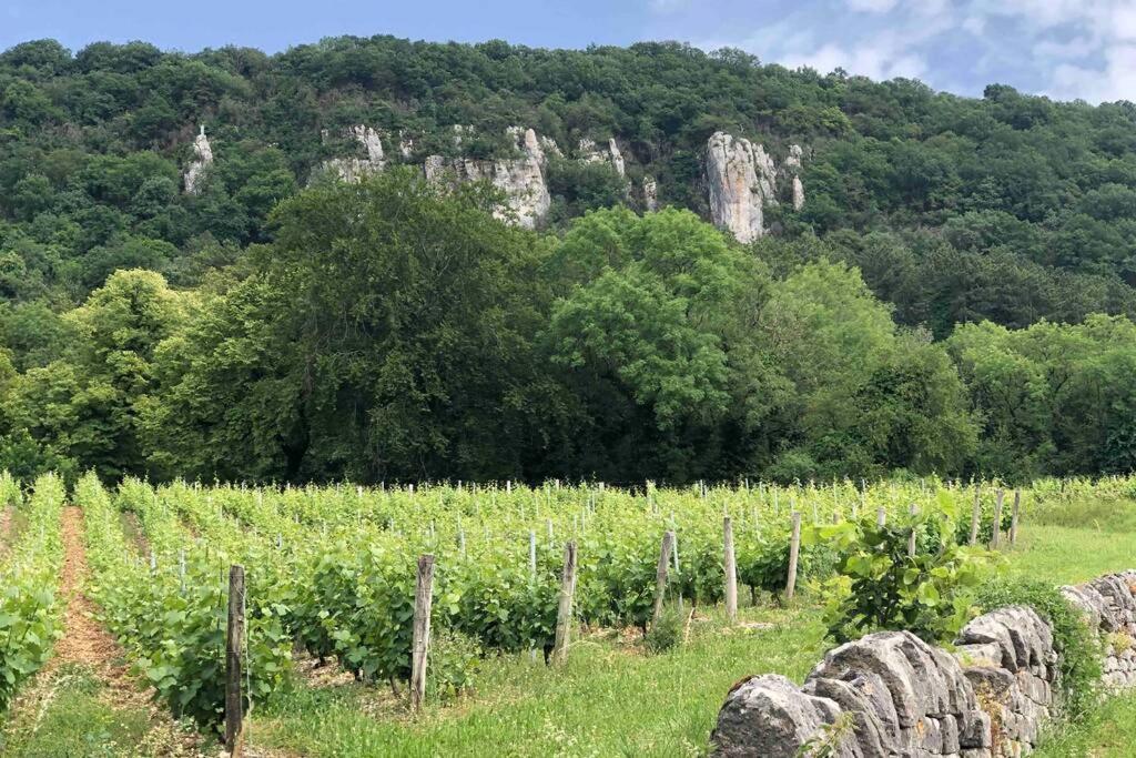 Maison Au Coeur Du Vignoble Jurassien 90 M2 Lavigny Екстер'єр фото